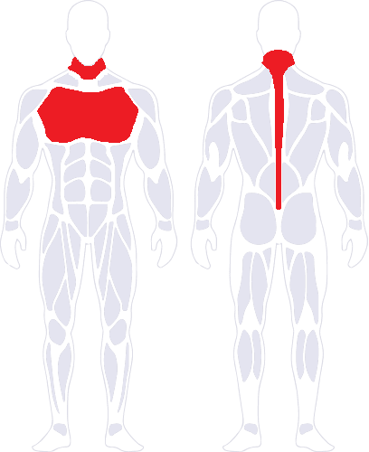 Unsafe places to place shockers: along the spine, on the chest near the heart, and on the
neck.